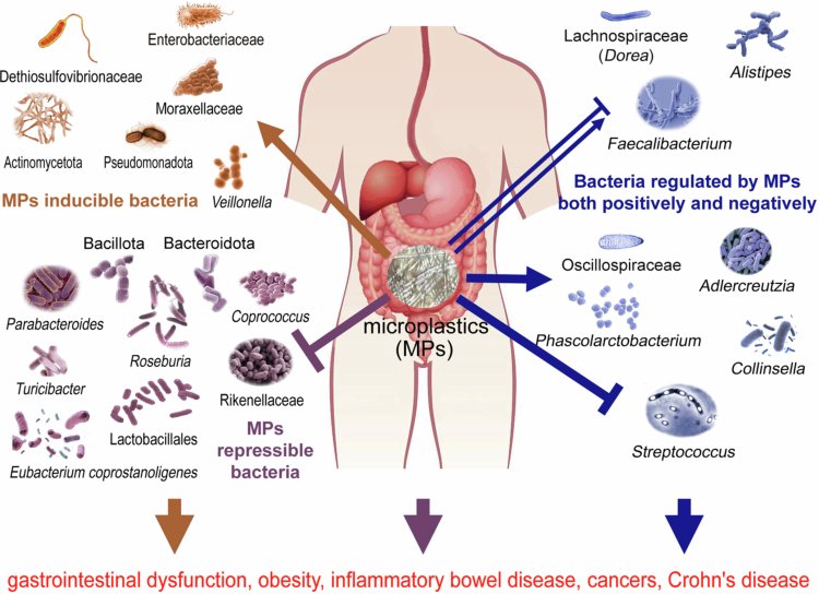 🔬 RicardoMontes tweet media
