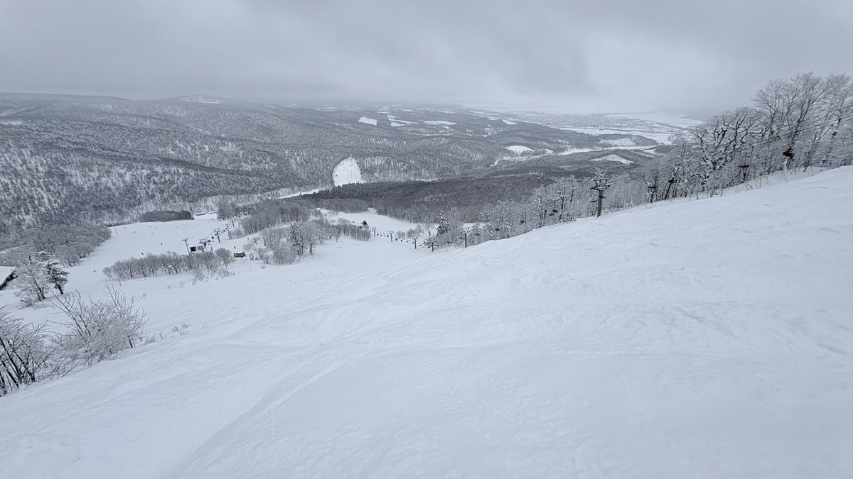 坂ニャアアアアアア