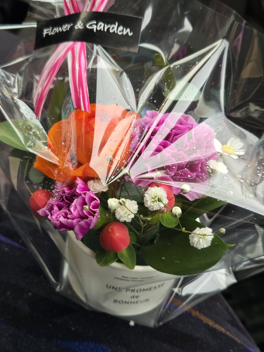 今日は 愛妻の日 みんな感謝しようぜ