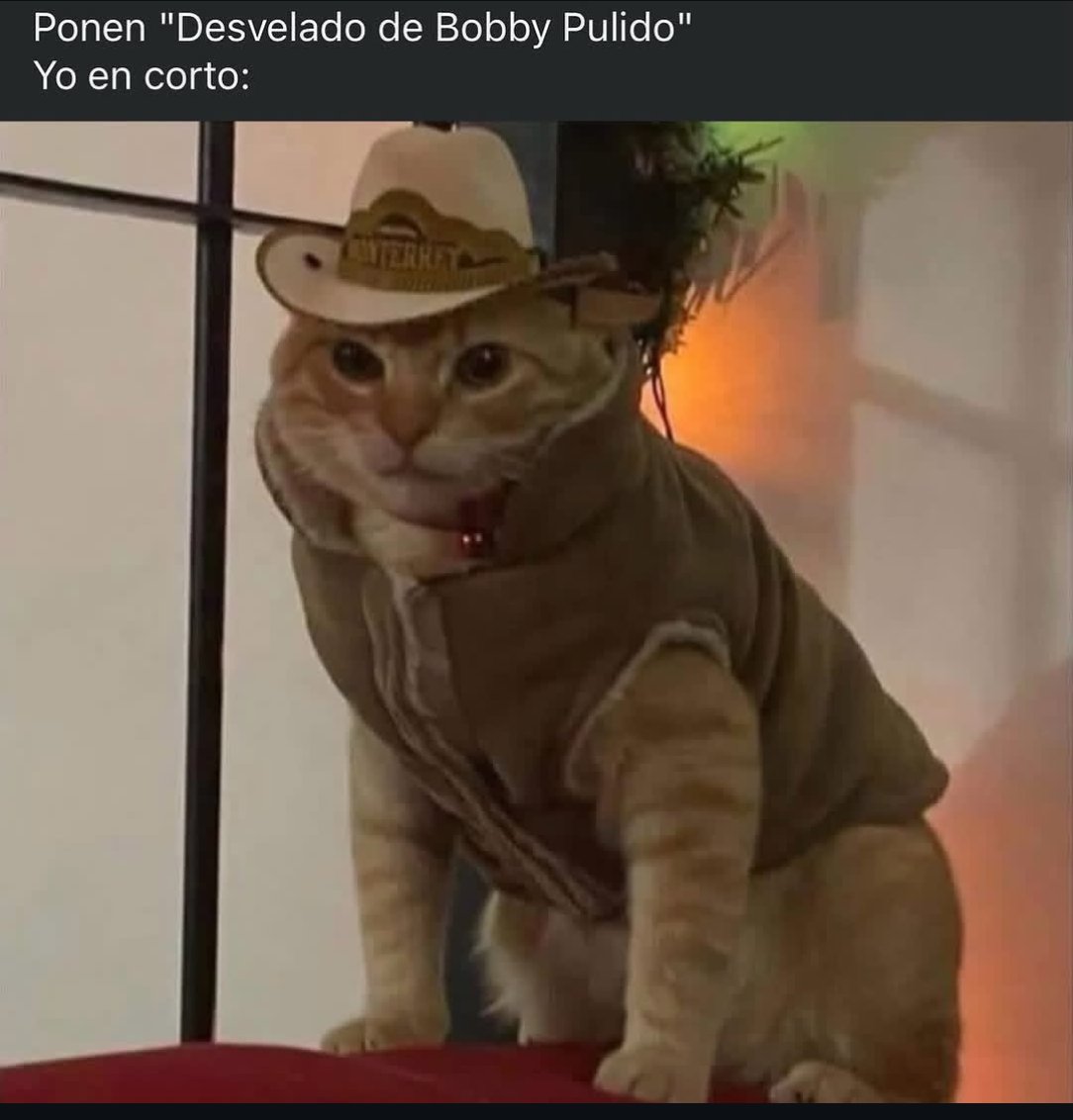 carloslavin's tweet photo. Meirl https://t.co/QBhKUwiP7W