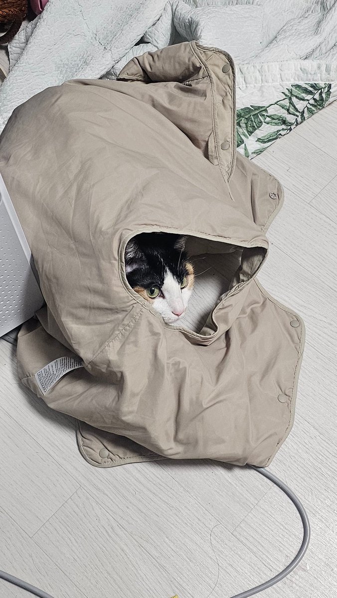 아기송아지 방한복