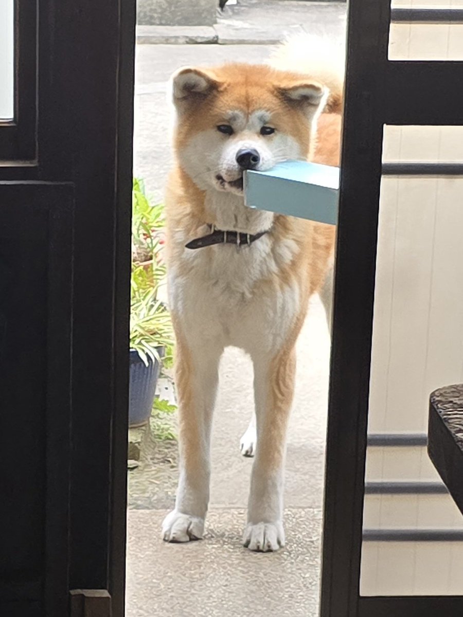 ْ (@65907_30_4) / Posts / X