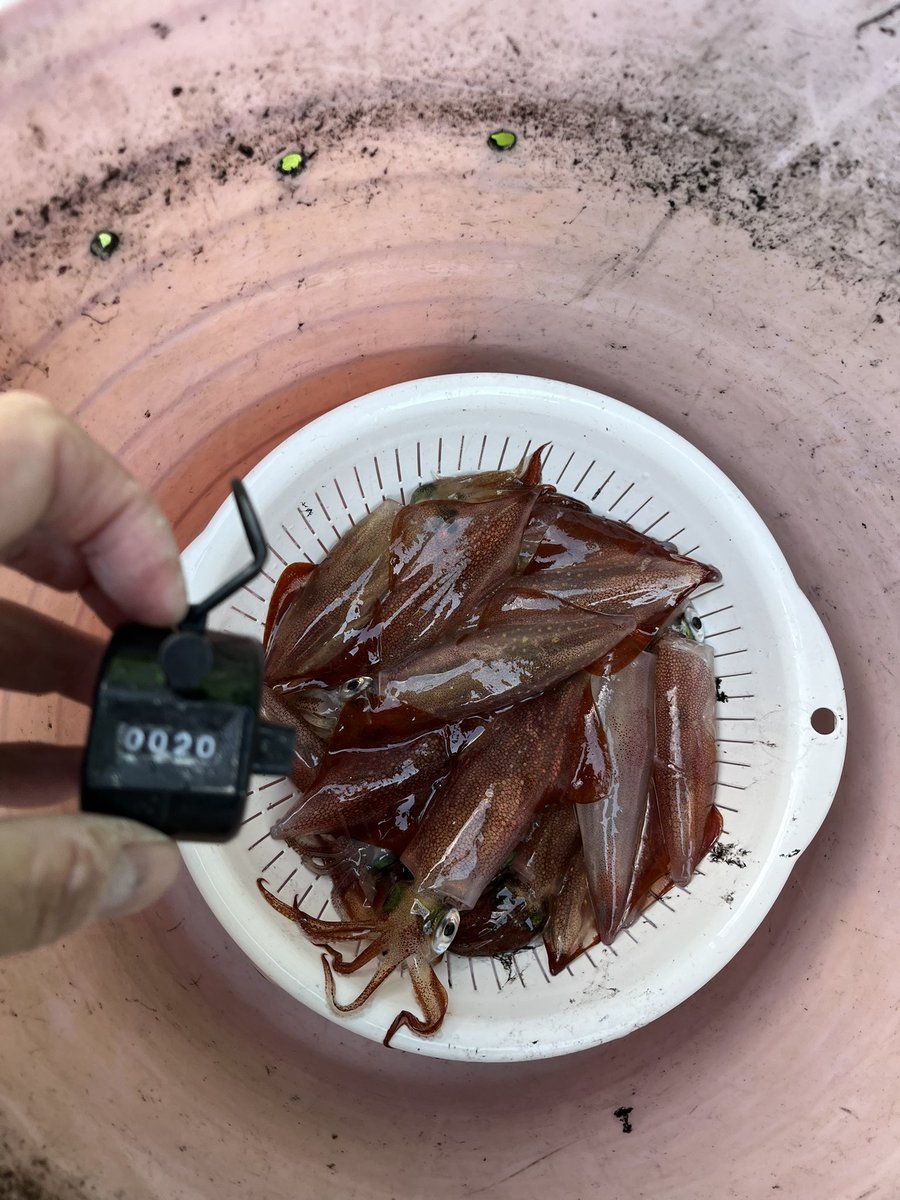 バリさん tweet media