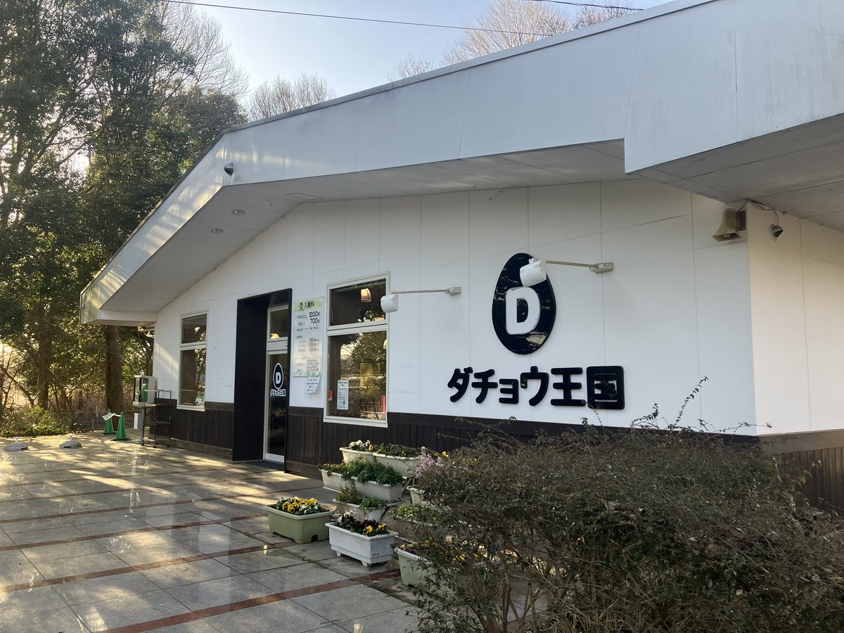 茨城県石岡市 ダチョウ王国 夜勤明けに友人と訪問 広大なスペースに