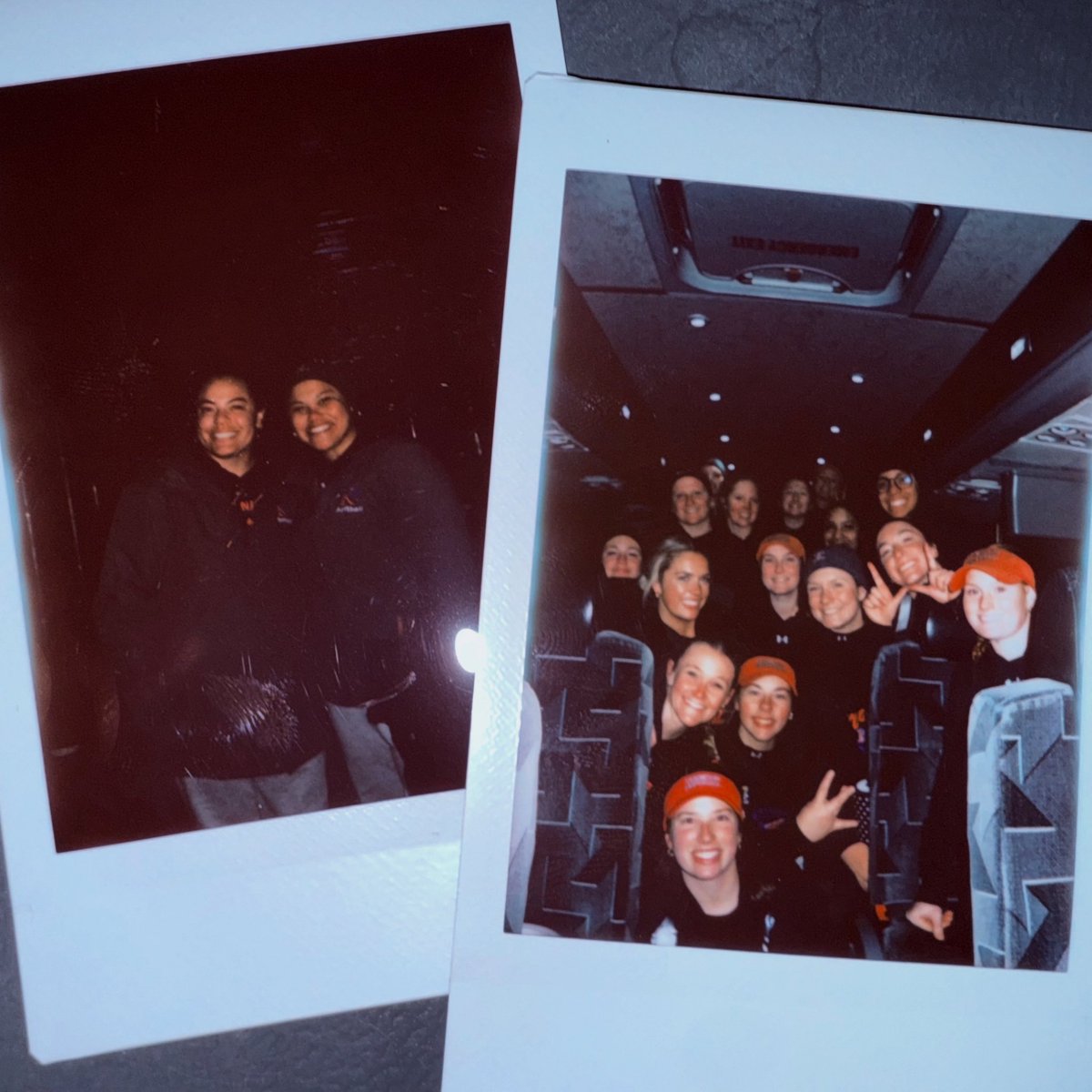 King University Softball tweet media