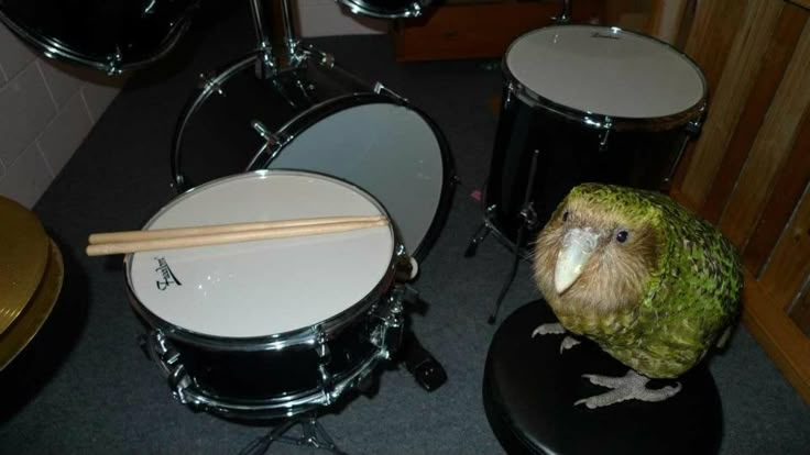 Quoise 🎣 tweet media