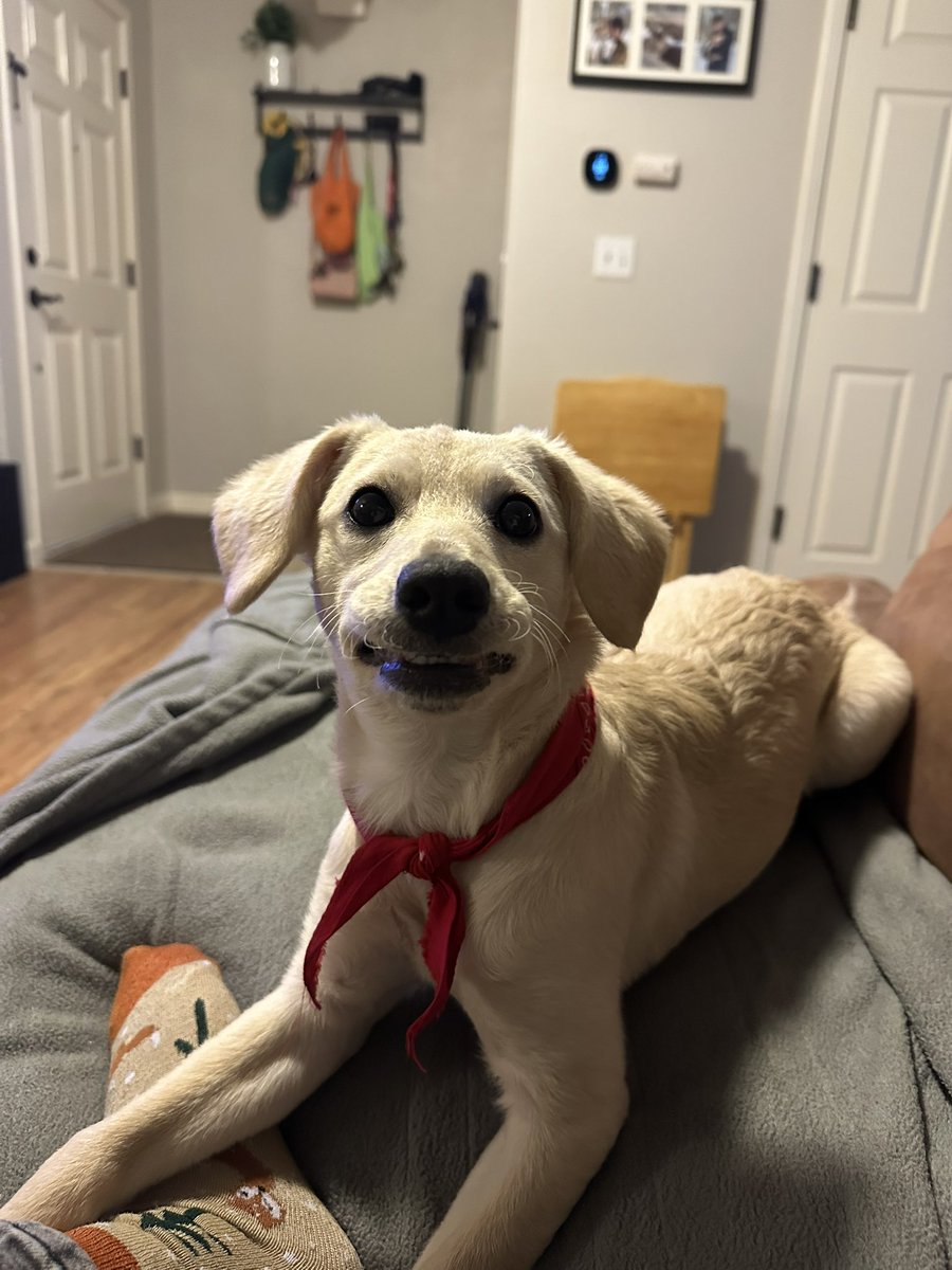 simm🖤 tweet media