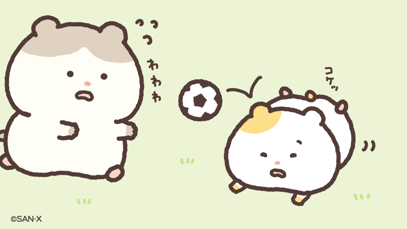 はむにぃとサッカーしたよ🐹⚽️✨

ころんじゃった…💦