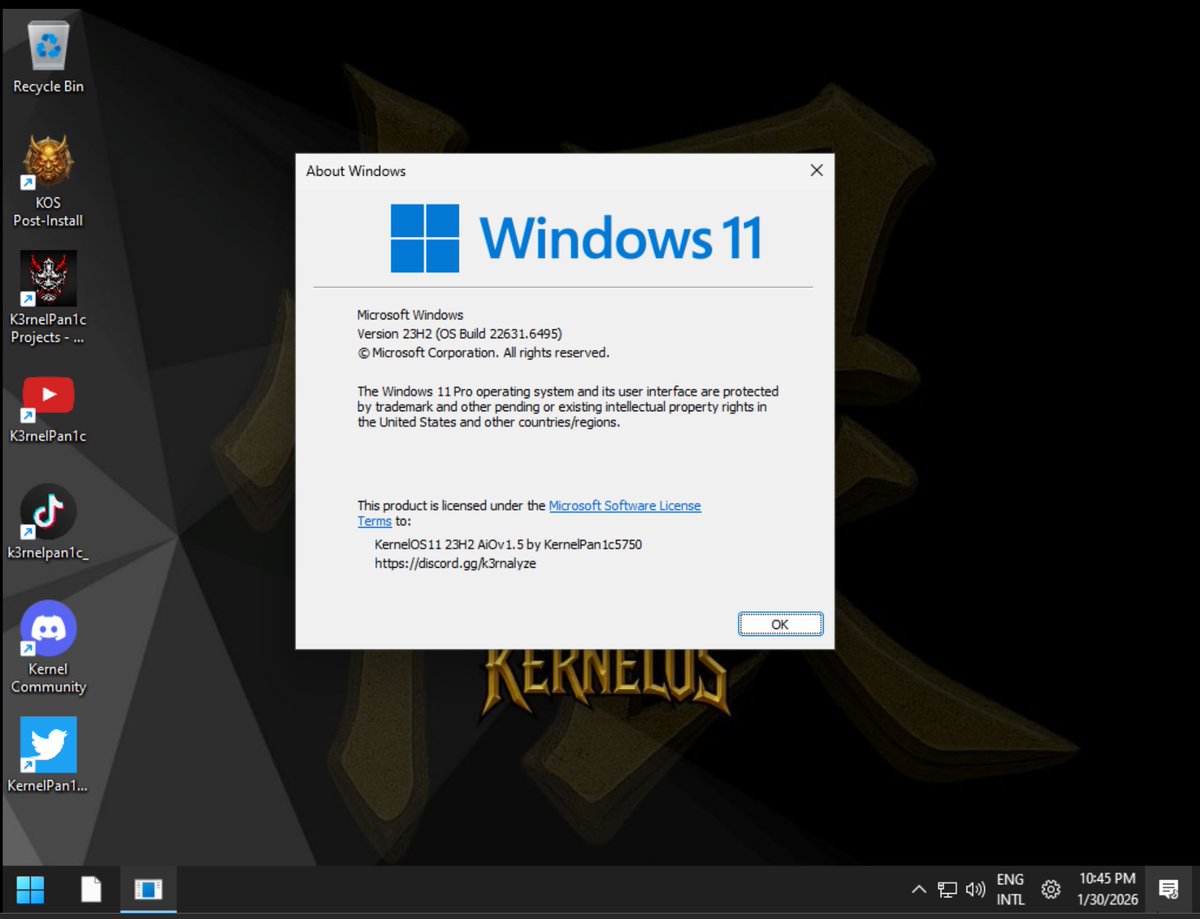 K3rnelPan1c 憎 tweet media