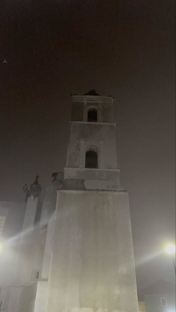 MarioPharma's tweet image. Real del Monte