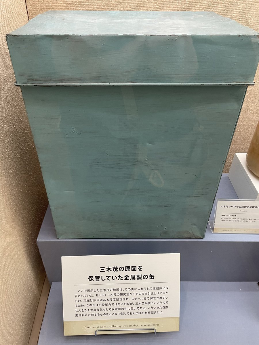 樟 (@shou_nanjamonja) / Posts / X