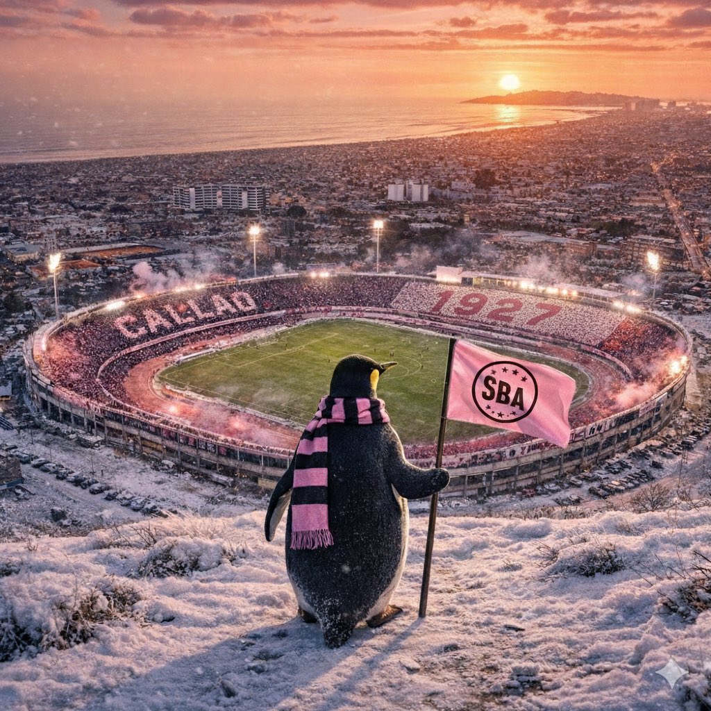 Un nuevo año, una nueva ilusión. El camino jamás fue fácil para nosotros, pero debemos empujar hacia el mismo lado si queremos llegar a la cima.

¡VAMOS BOYS! 🩷🖤