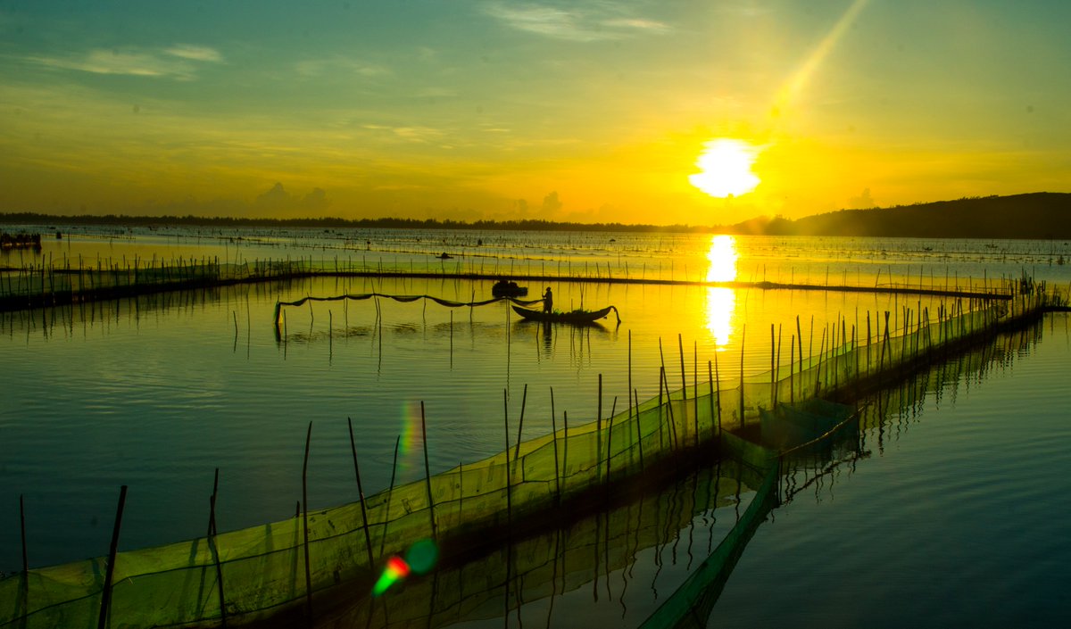 buổi sáng ô loan .