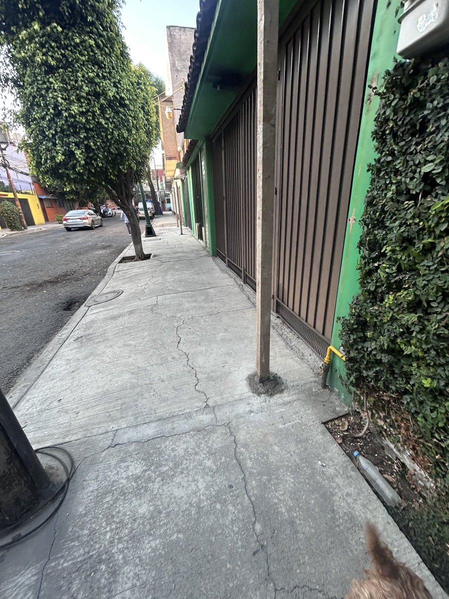 elexcelso's tweet photo. @BJAlcaldia esto está permitido??? Construir sobre la banqueta??? De por sí no hay mucho espacio y ahora se están extendiendo! https://t.co/PXwCkHz27V