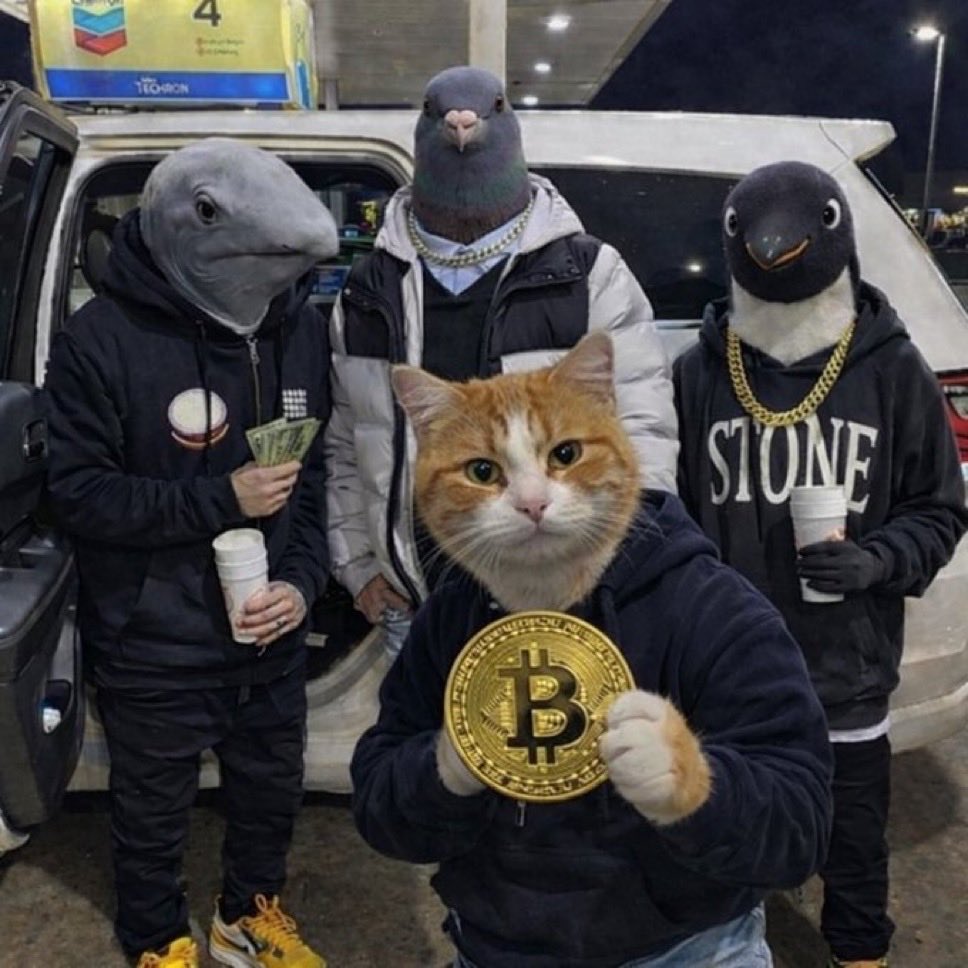 NoCryptoForYou 🇺🇸 tweet media