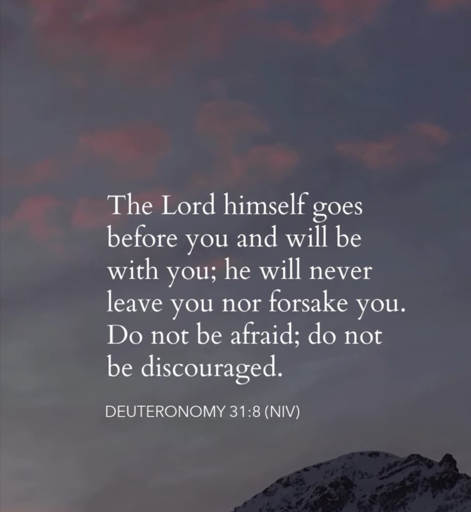 John Potts tweet media