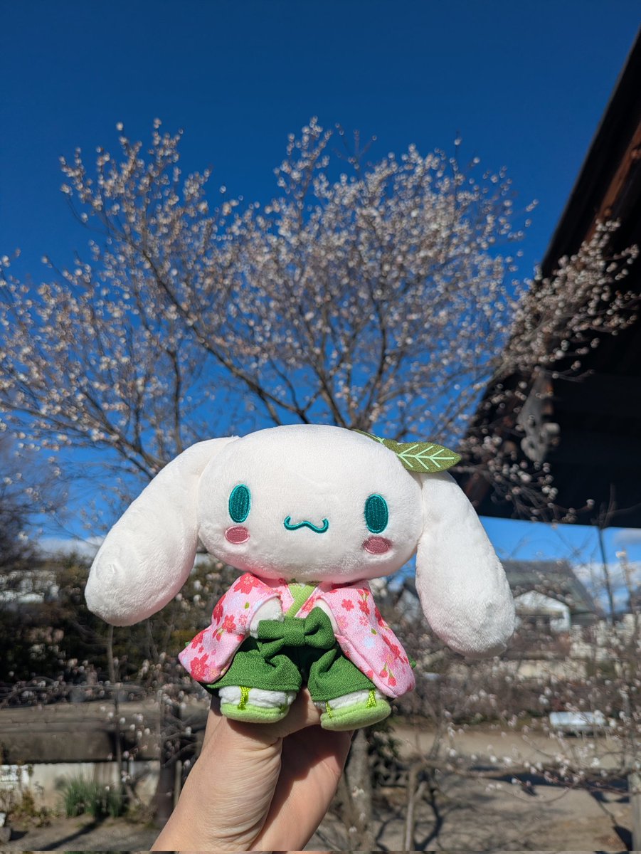 しろかみ tweet media