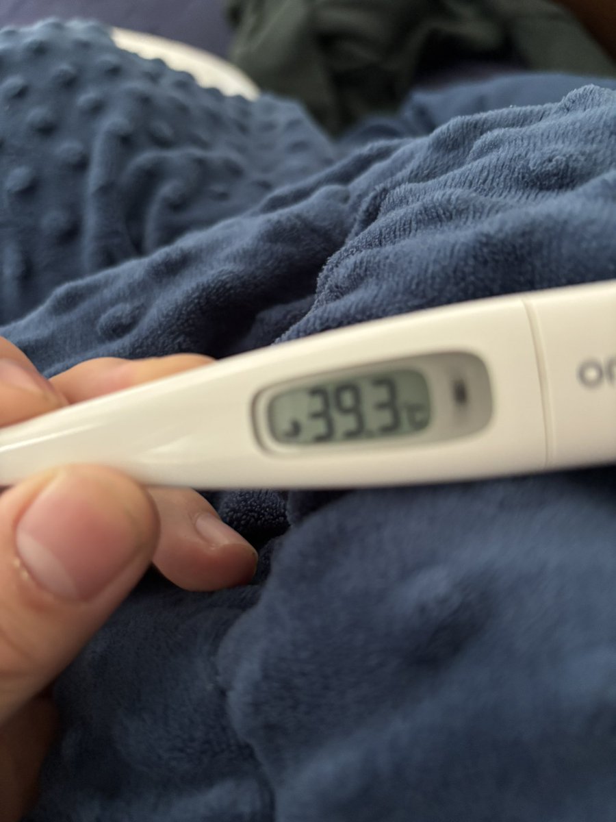 きゅーぴー@谷川君 tweet media