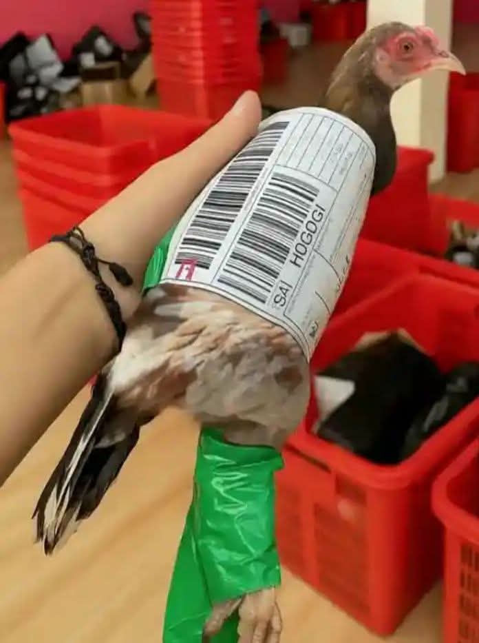 Ketawa itu GRATIS 🛩 (@kucengterbanggg) on Twitter photo 