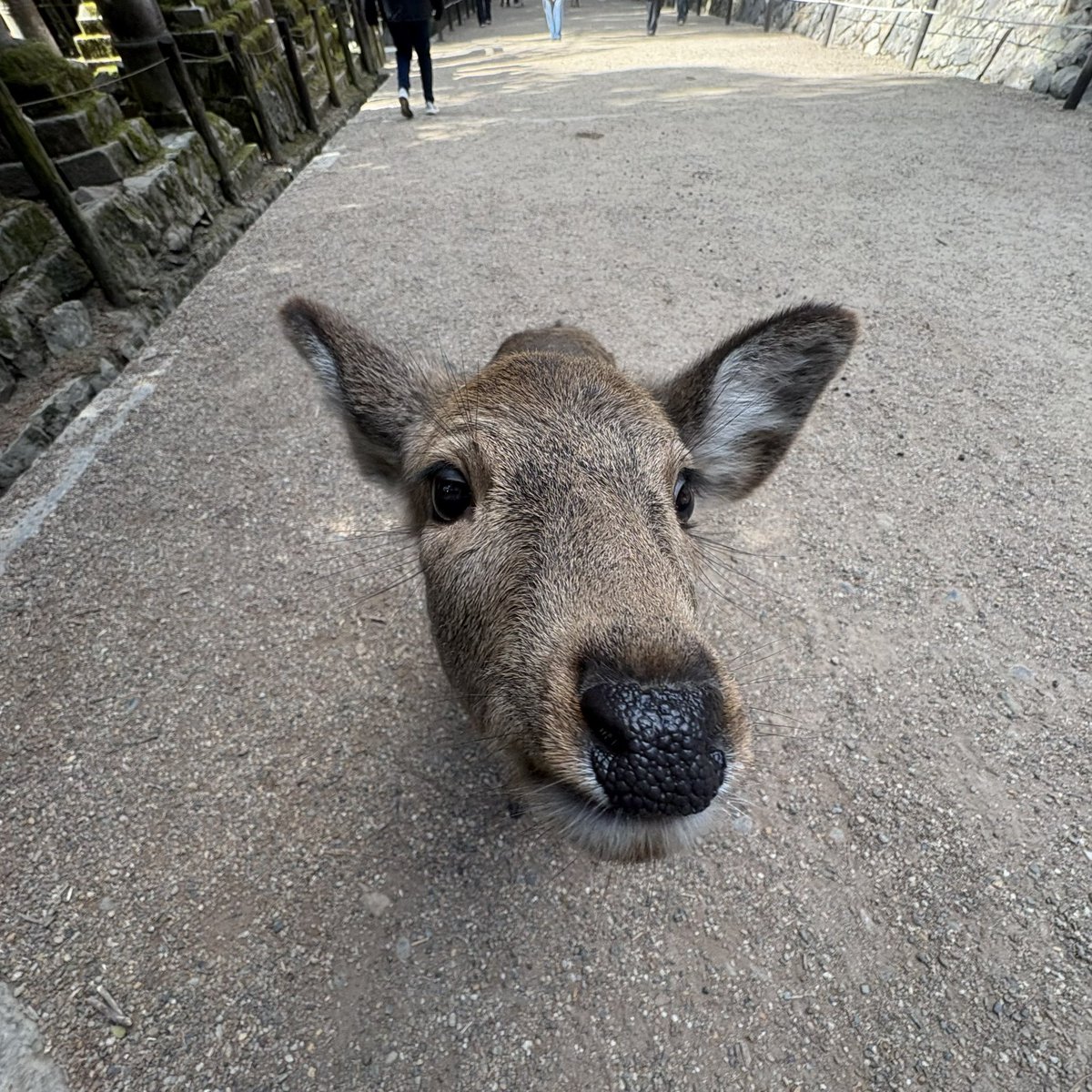 first i serioused, then i