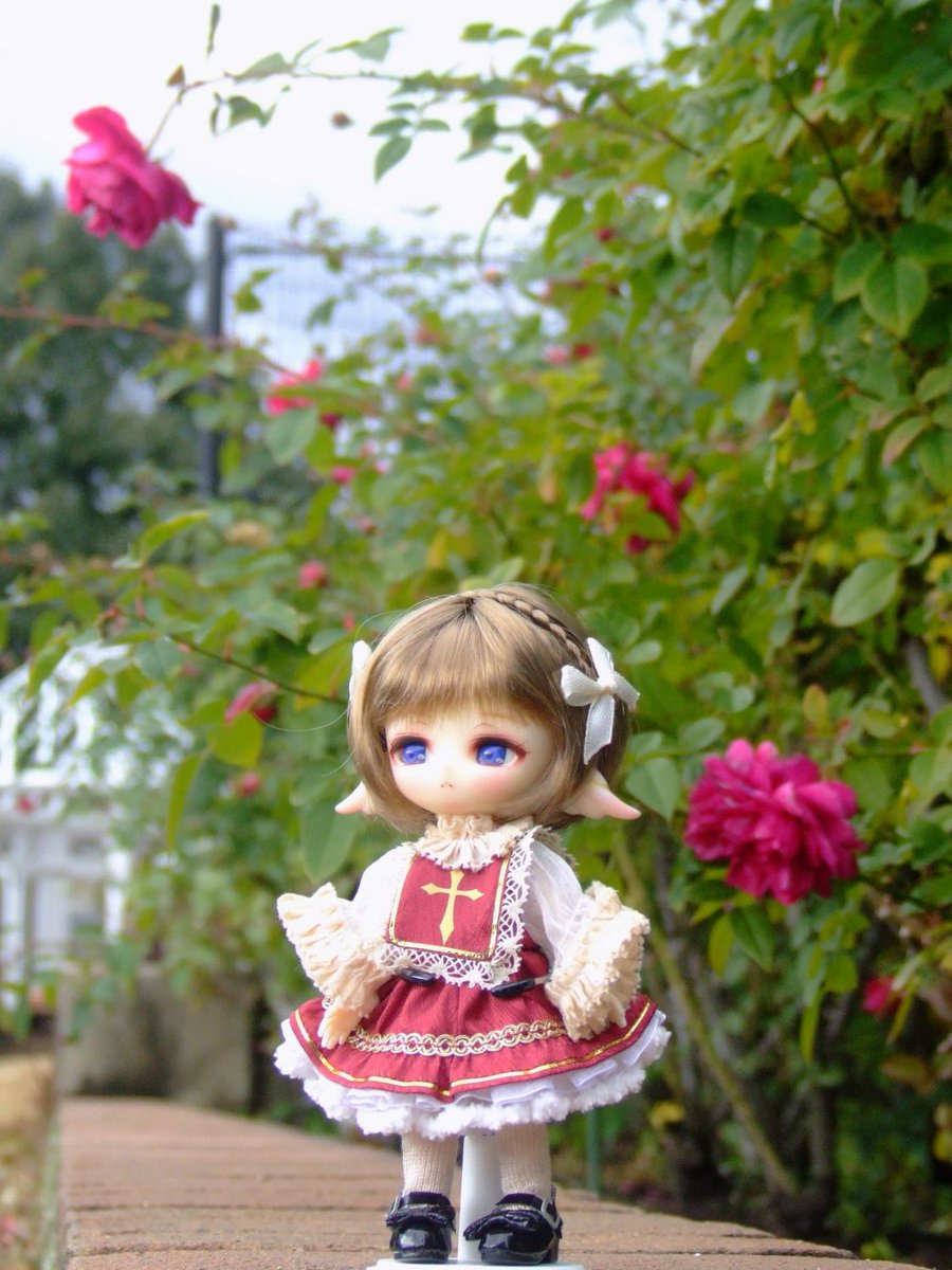 Ranico🫧 (@feriz1_117) / Posts / X