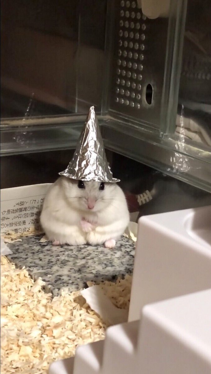 いま流行りのアルミ帽被せたらスナフキンみたいになった