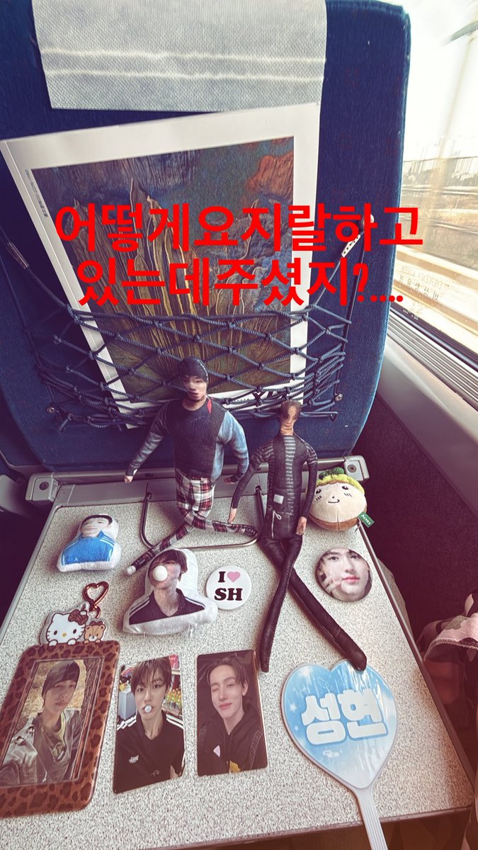 땅이… tweet media