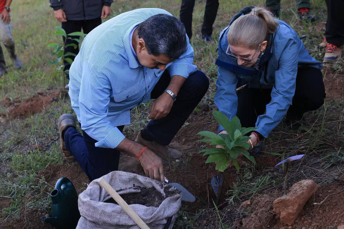 Luis Carlos tweet media