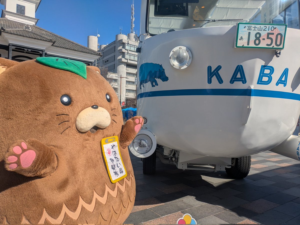 やはたいぬ tweet media