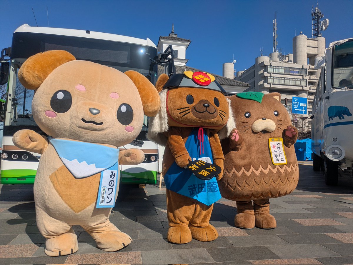 やはたいぬ tweet media