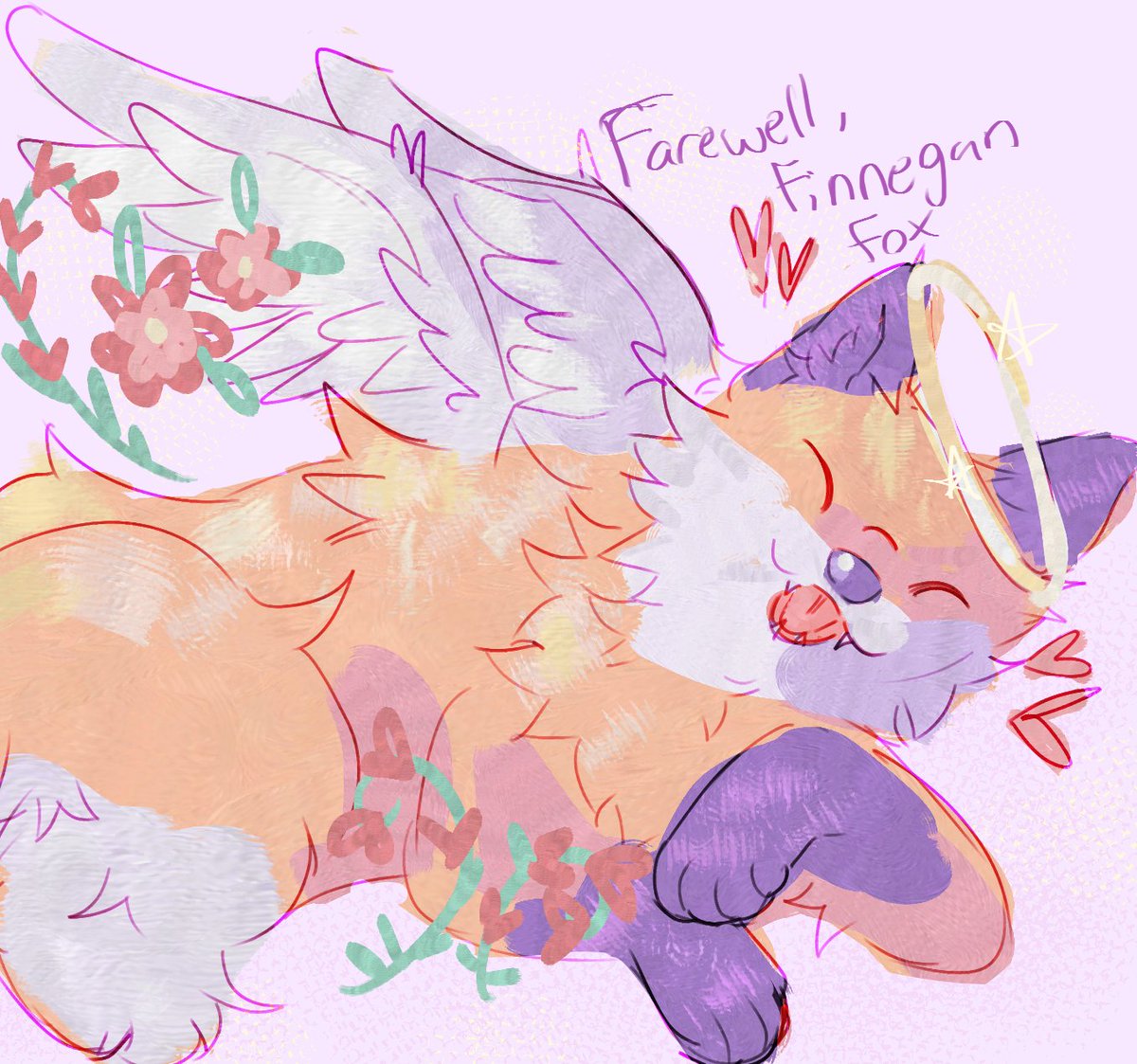 rest well finnegan fox :(