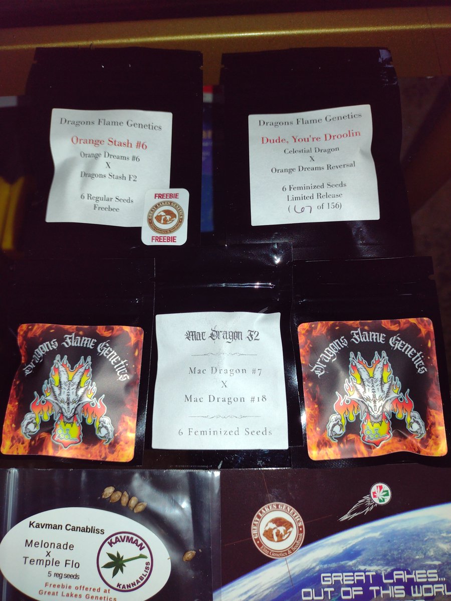 Great Lakes Genetics with the hook up... Always wanted to run DFG. Plus, you can never go wrong with Strayfox (looking forward to that freebie)🤙

#Growyourown