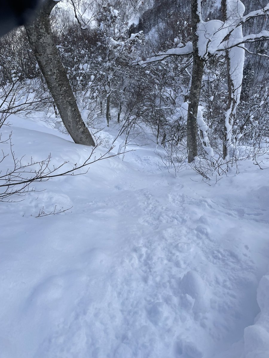 GoPro持ってくればよかった…