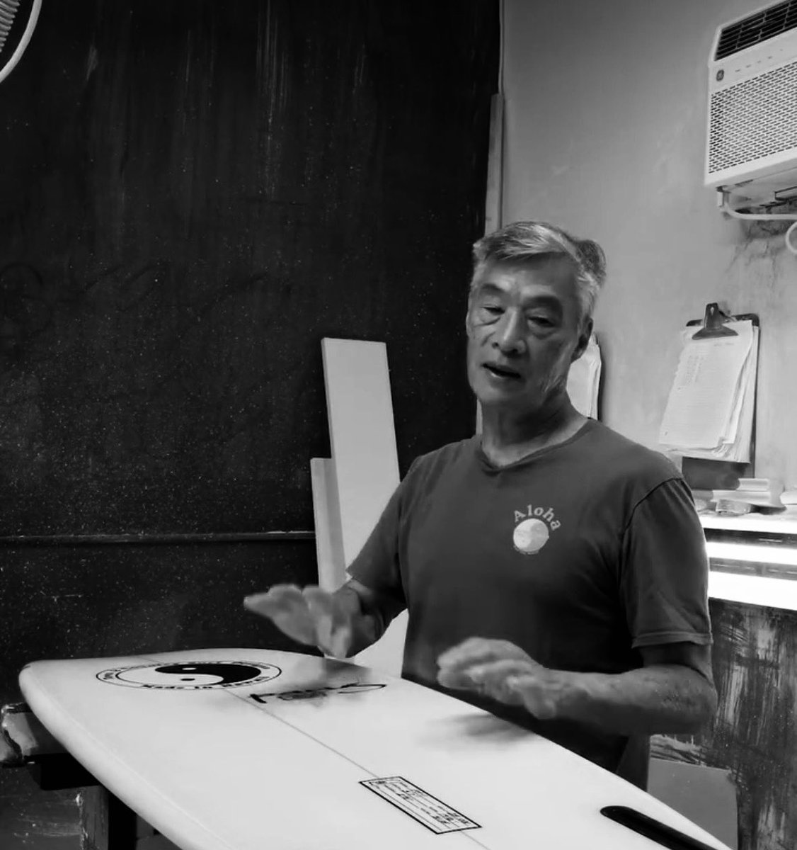 Sally Fitzgibbons tweet media