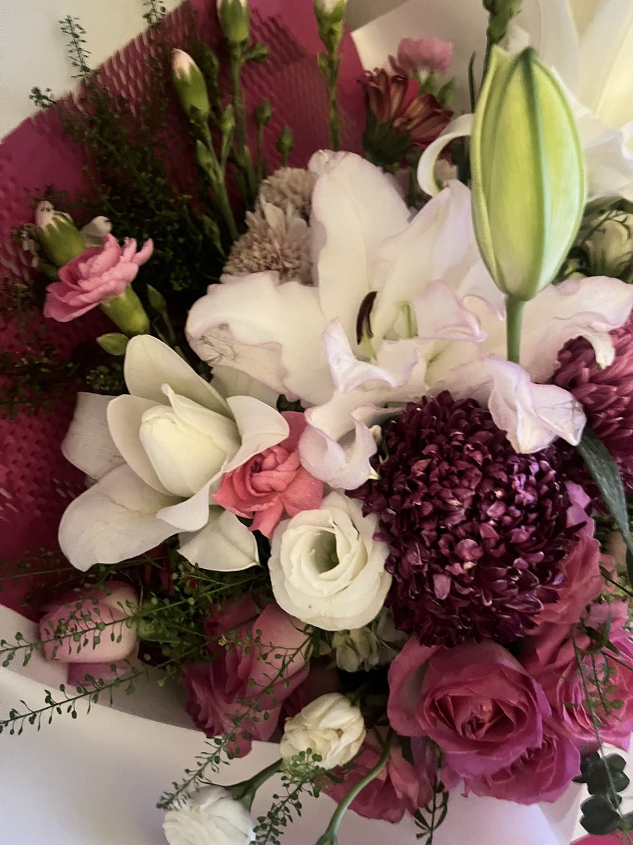 maubisacoding's tweet image. lilly double petals🌸 #diarybunga