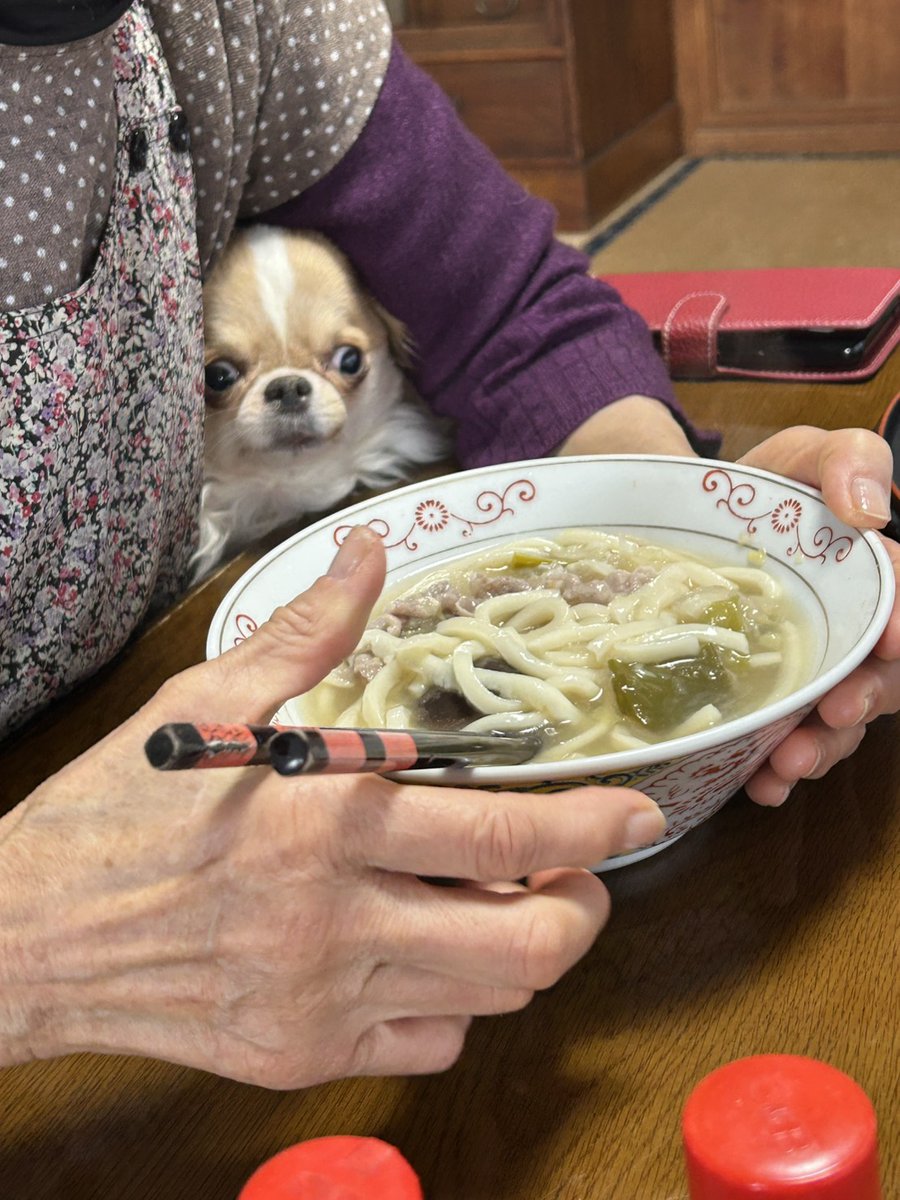 えちごやとちわわ tweet media
