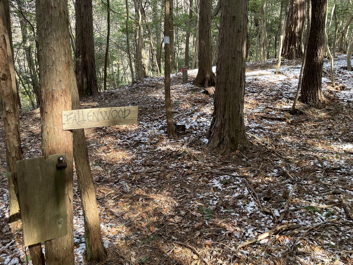 Underworld LARP Havenhollow now. #underworldlarp