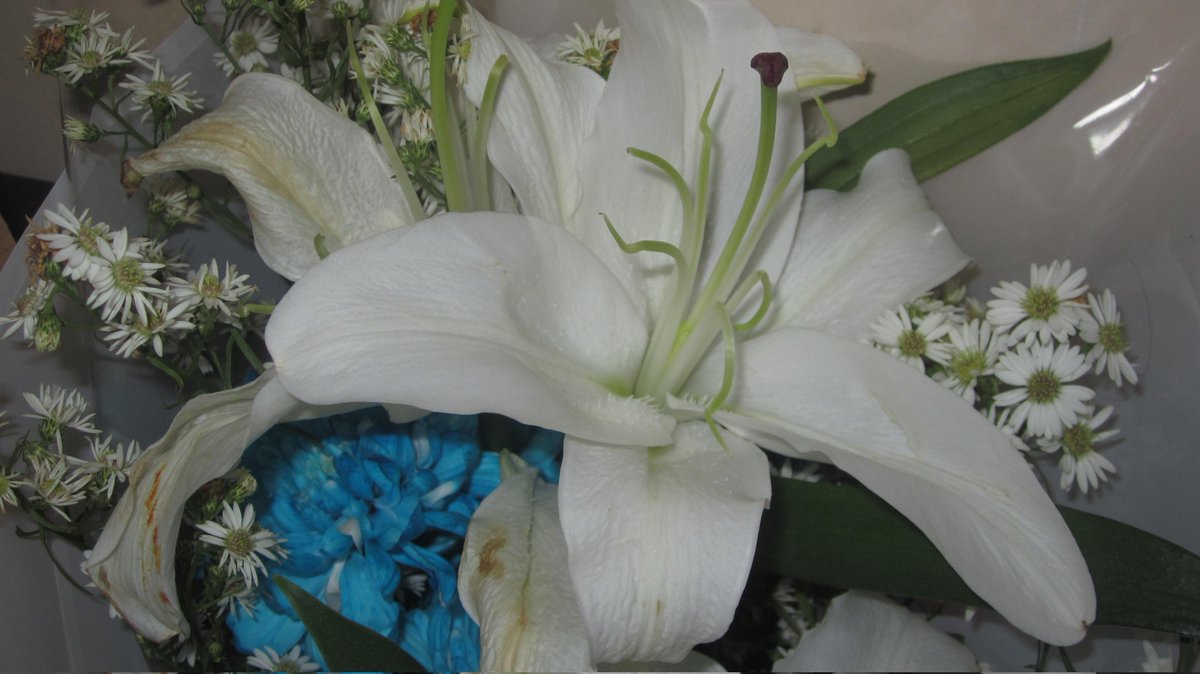 kindly mention after dm ✿ tweet media