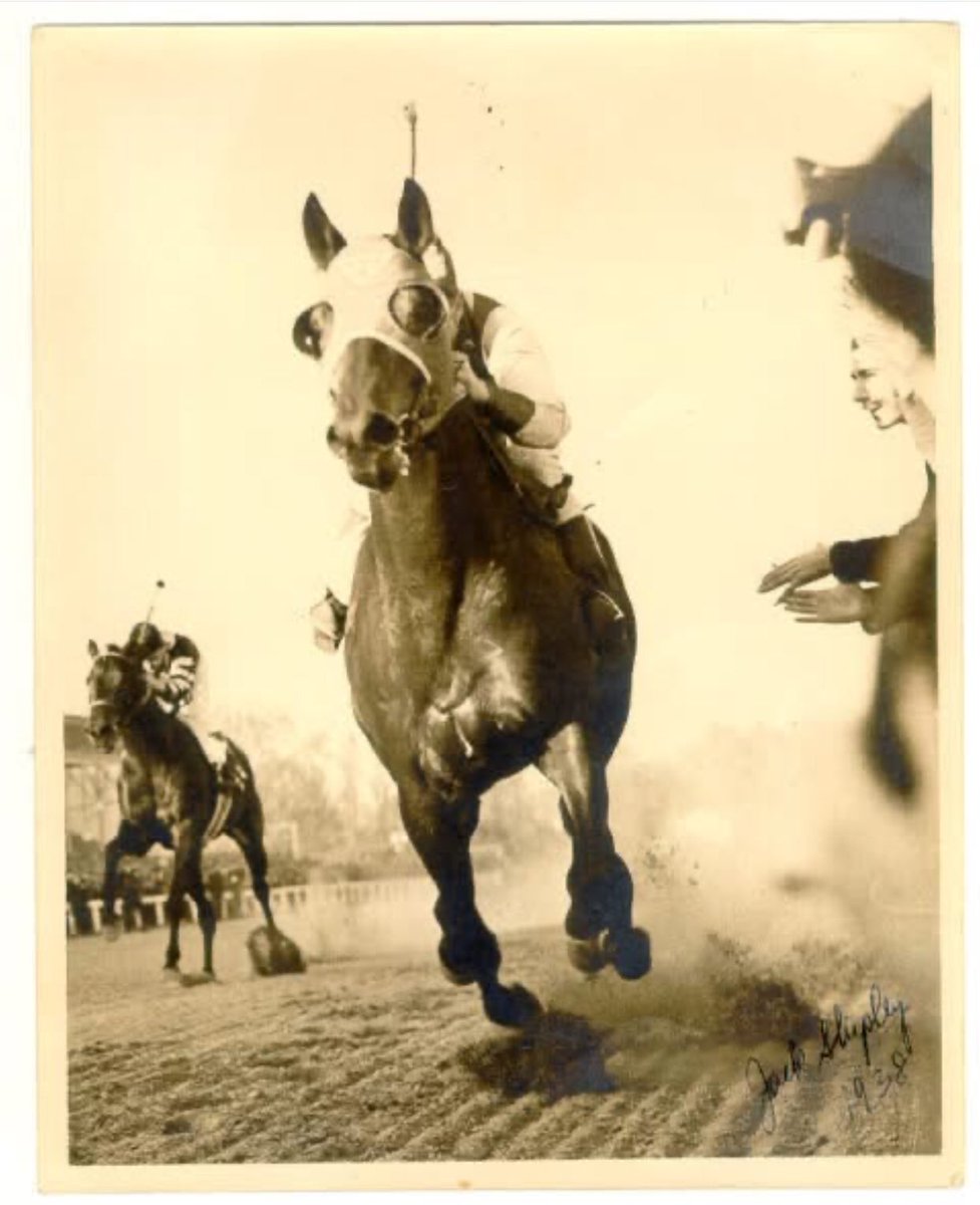 "You know, everybody thinks we found this broken-down horse and fixed him, but we 
didn't. He fixed us. Every one of us. And I guess in a way we kinda fixed each 
other too." Red Pollard, jockey, 'Seabisquit'