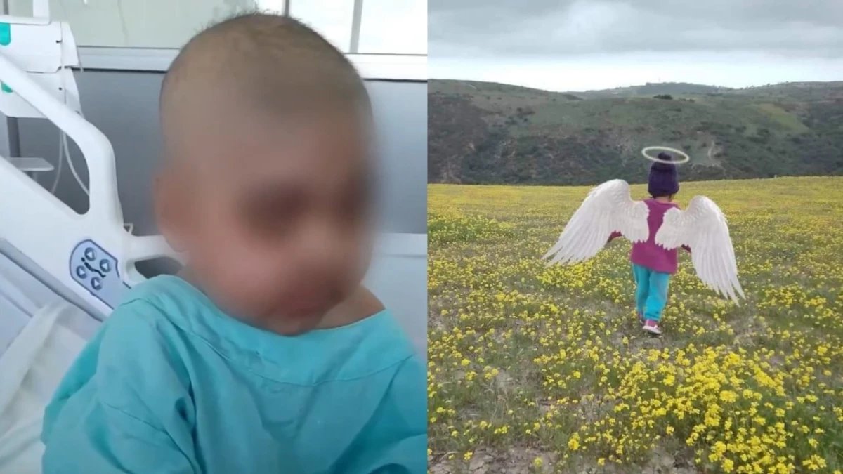 Alertan sobre estafa a nombre de una persona fallecida...

La mamá de Kenia confirmó que la niña falleció en 2024 y pidió frenar a personas que usan su historia para pedir dinero de forma fraudulenta.

bit.ly/3ZIemt6