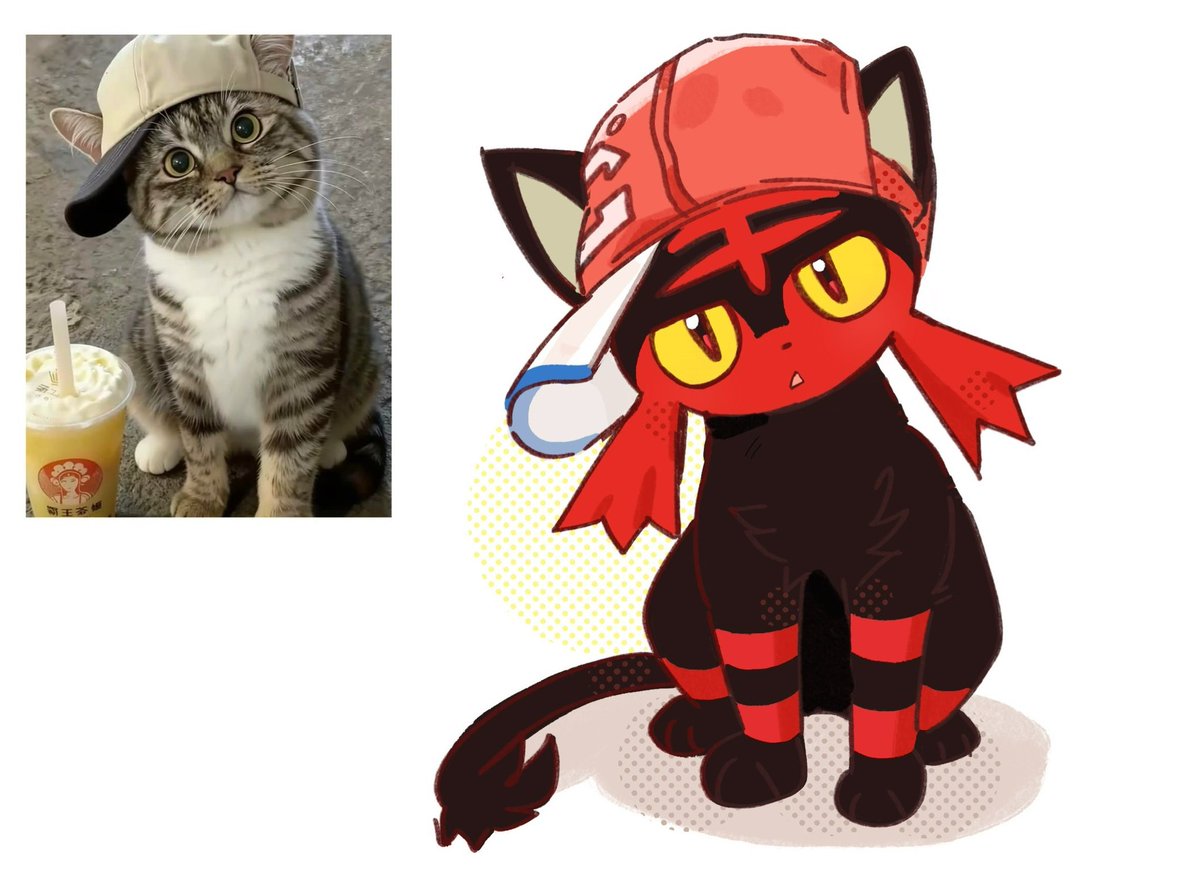 seta629211's tweet image. 