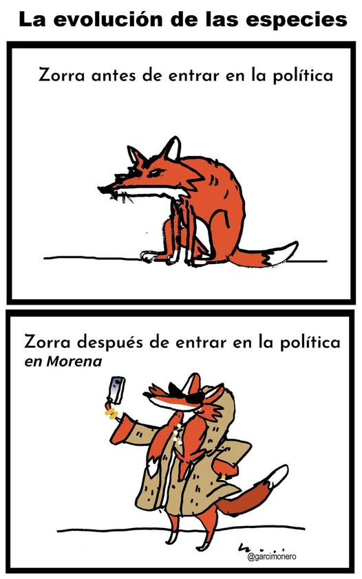 "Evolución de las especies en Morena"  🦊 🥴