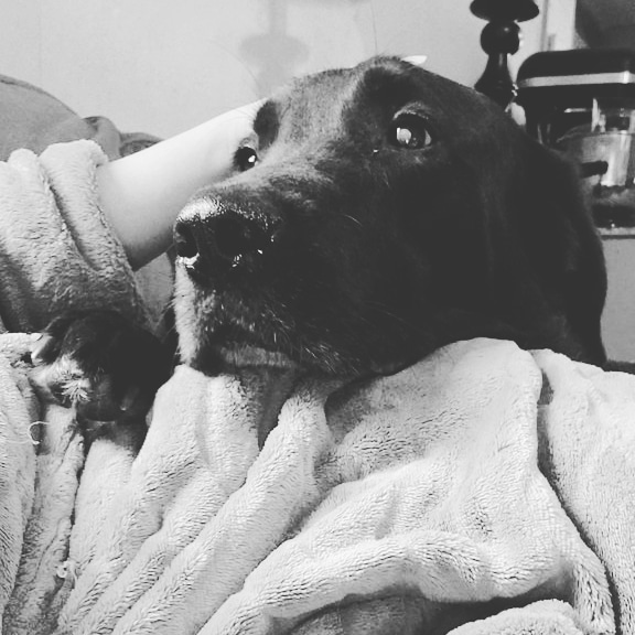 C.B. Mottor tweet media