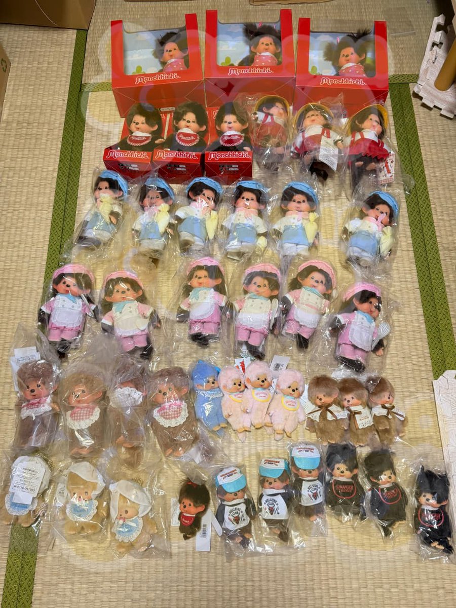 WAREHOUSE & HANDCARRY JAPAN 🇯🇵 tweet media