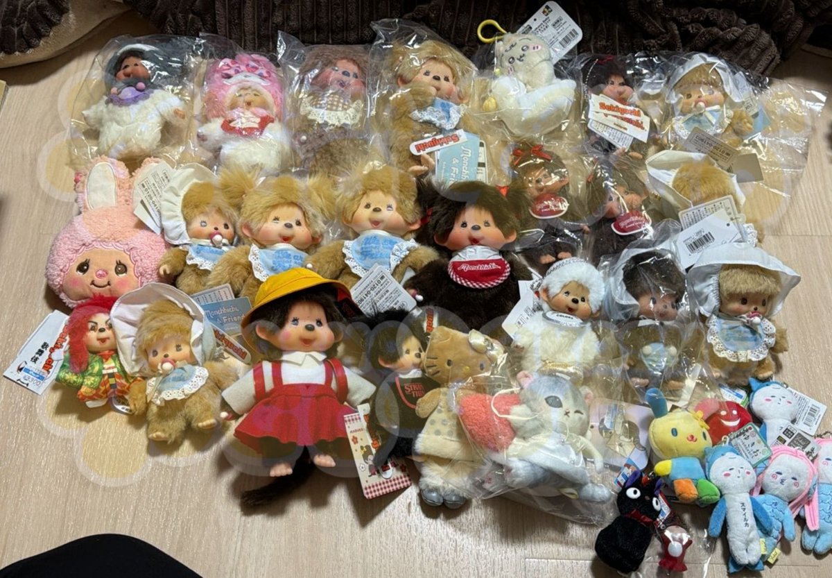 WAREHOUSE & HANDCARRY JAPAN 🇯🇵 tweet media