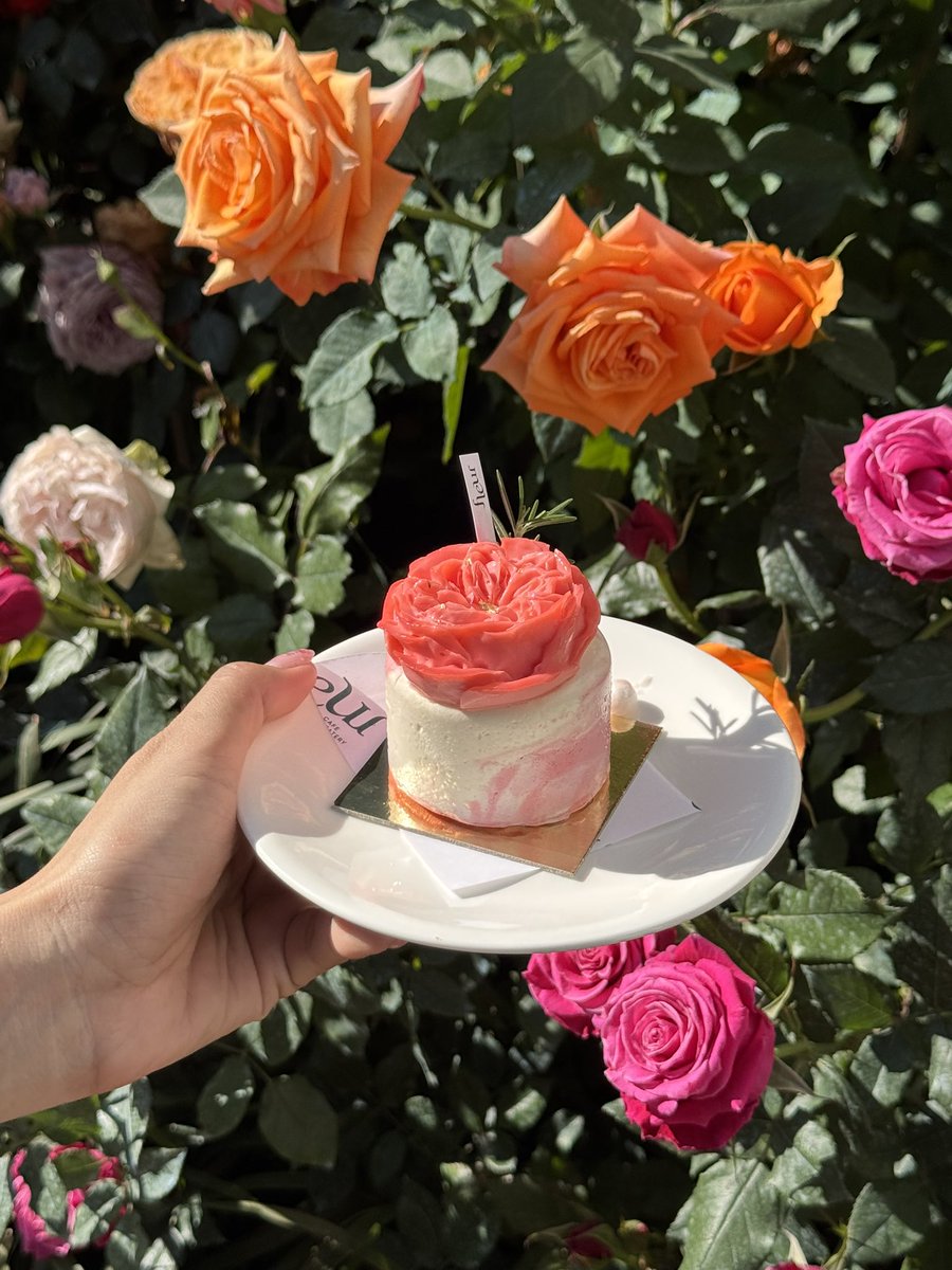 sfkkfs_'s tweet image. สมที่เป็นคาเฟ่ดอกกุหลาบที่ฮิตมากๆของเชียงใหม่ 
แสงตอนช่วงสามโมงเย็นสวยมากกก 🔆💐 

🌳 ร้านกว้าง ธรรมชาติสวย มีหลายมุมให้นั่ง
ทั้งวิวสวนกุหลาบ มุมริมน้ำ ลำธาร และสวนกว้างๆ