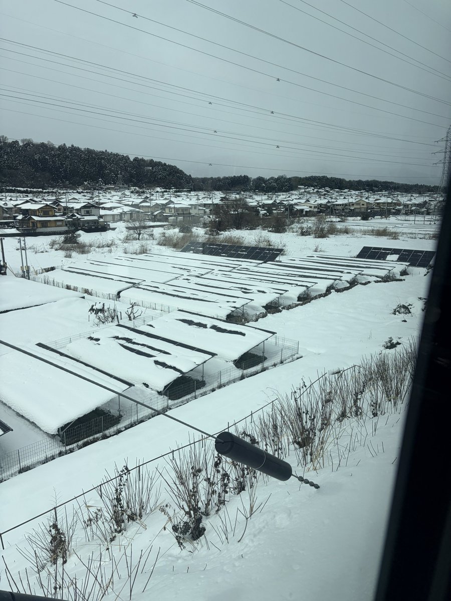 hiro__okada's tweet photo. 今小浜に向かっているのですが、乗換案内でまさかの滋賀からバス？！
こんな雪積もってるのにバスで山越えるの？！ https://t.co/xqoCYoYV6J