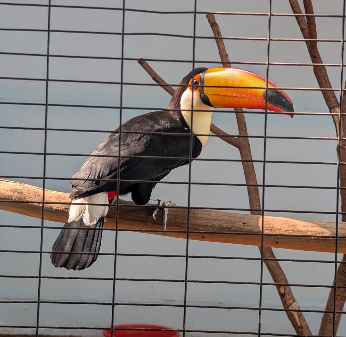 PEKO@1/22🇮🇳インド～ (@ab_peko) / Posts / X