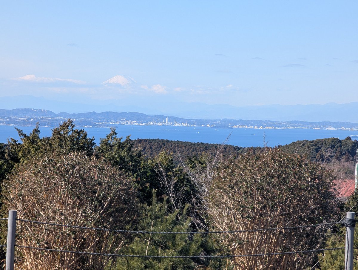 meguoru(ﾒｸﾞｵﾙ) tweet media