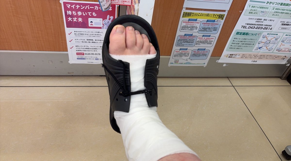 ❤️れっぴーず❤️ (@reppi0173) / Posts / X